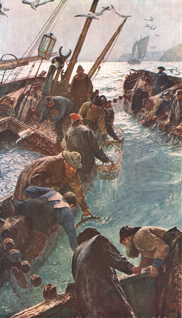 Hoe we de sardines vingen, 1895, c1902 door Unbekannt