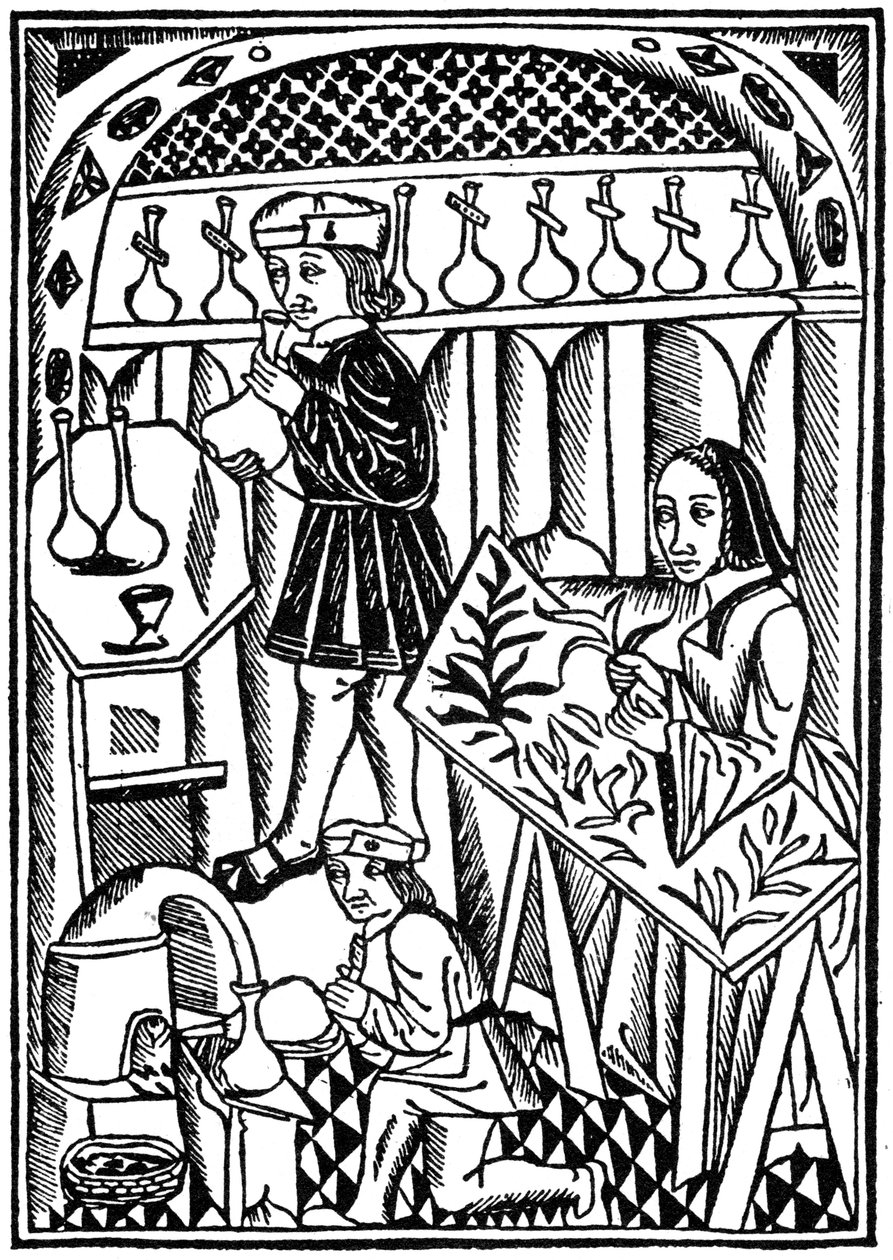 Illustratie uit Le Proprietaire des Choses, 1500, 1964 door Unbekannt