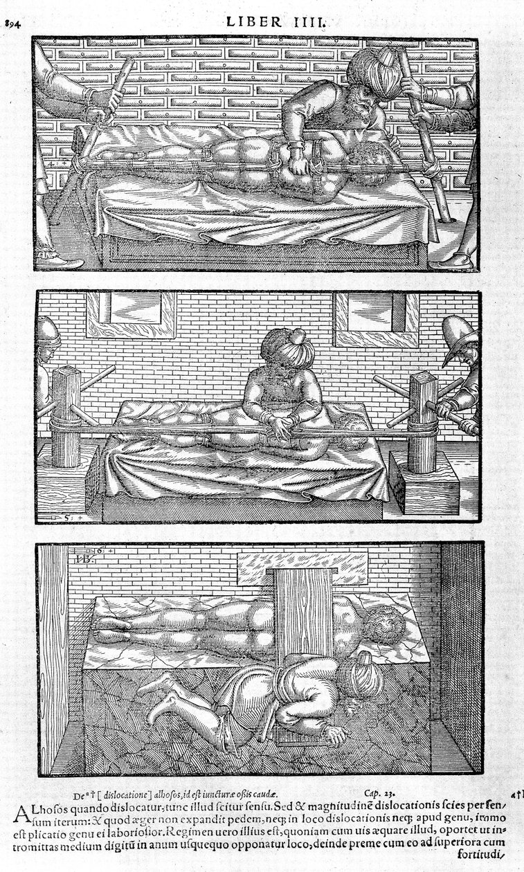 Illustratie uit Liber canonis de medicinis cordialibus door Avicenna, 1556 door Unbekannt