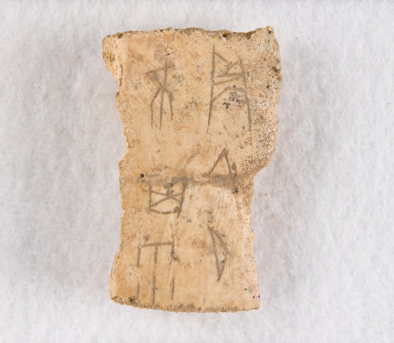 Ingeschreven botfragment orakelbot, Late Shang-dynastie, ca. 1300-1050 v.Chr. door Unbekannt