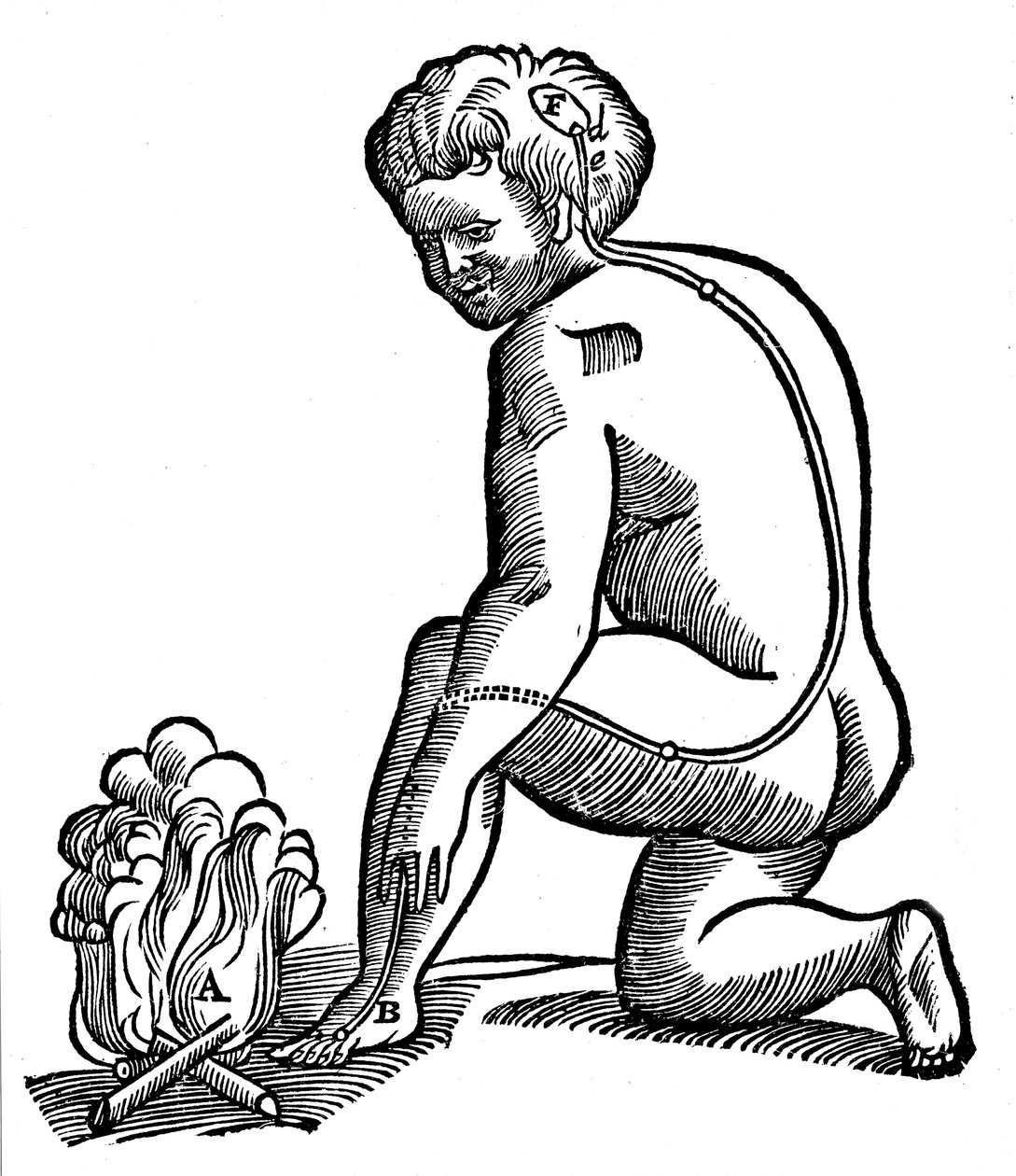Onvrijwillige beweging, Descartes