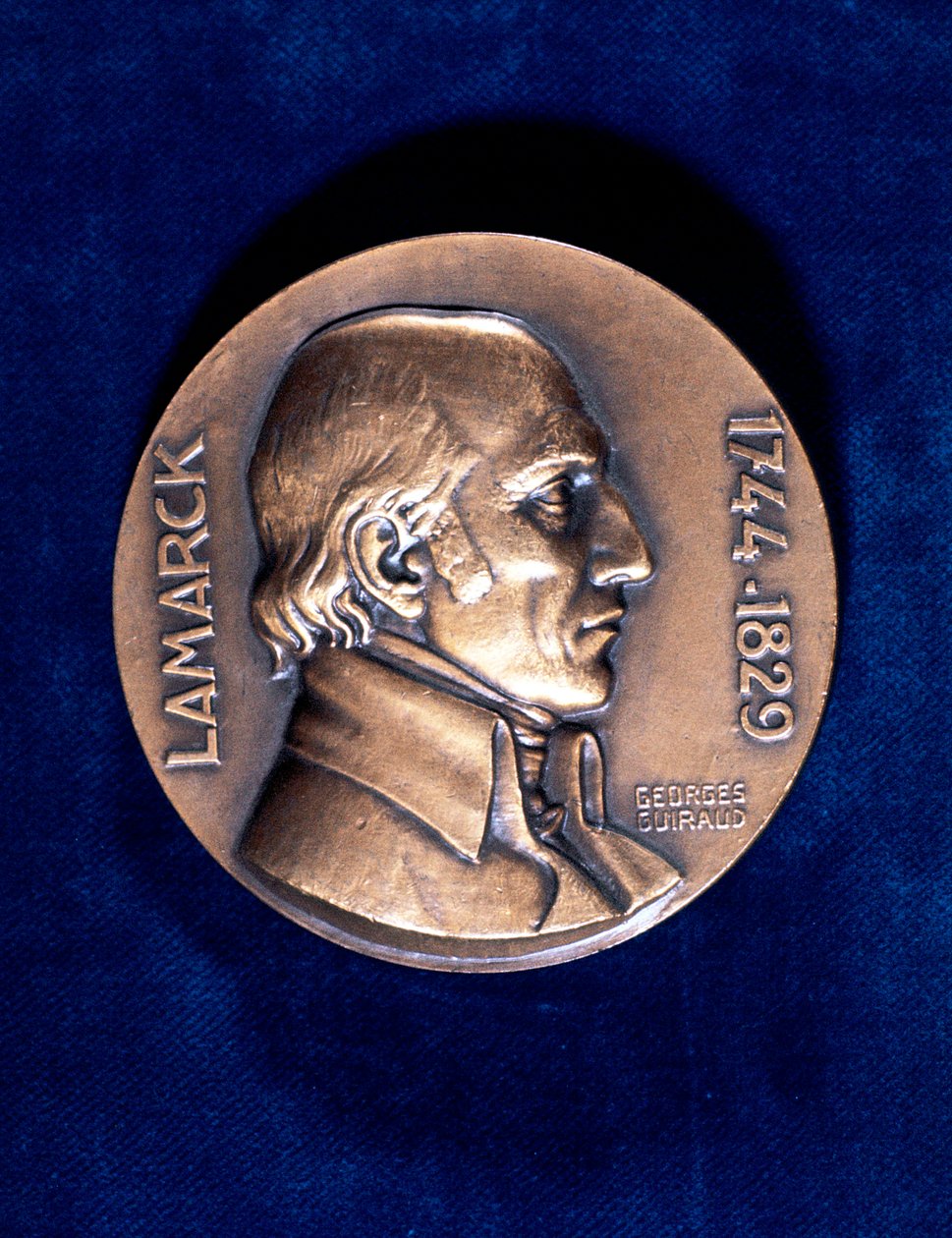 Jean Lamarck, Franse natuuronderzoeker door Unbekannt