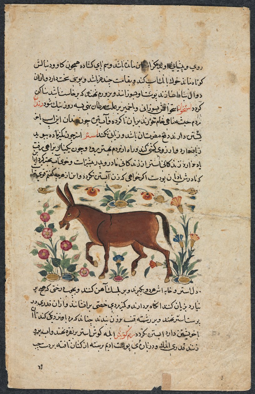 Khar Ezel, uit een Nuzhat-nama-yi alai Excellent Boek van Raad..., 1400s door Unbekannt