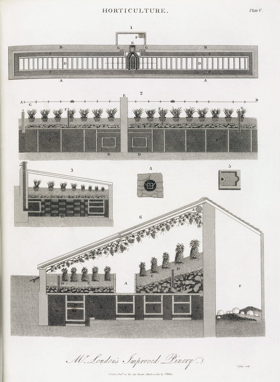 De kas voor het kweken van ananassen, elevatie en doorsnede van het gebouw door Unbekannt