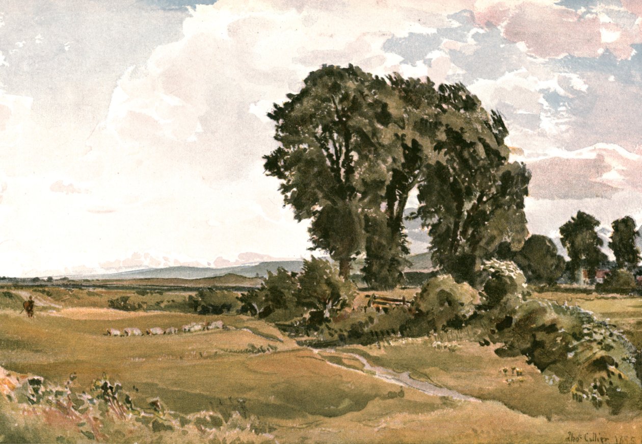 Landschap, bij Wareham, Dorset - een Buitenschets, ca. 1900 door Unbekannt