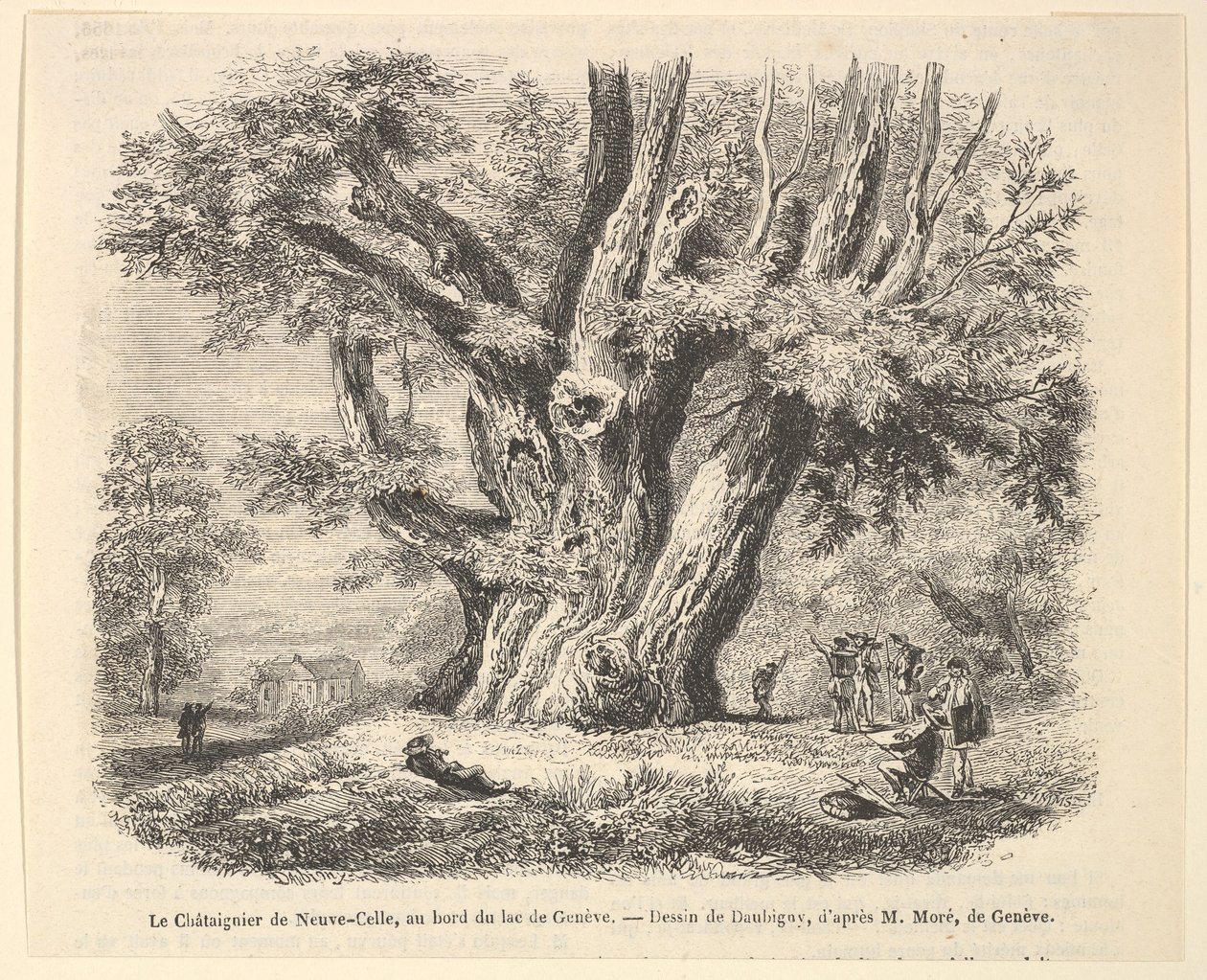 Le Châtaignier de Neuve-Celle, aan de oever van het Meer van Genève, naar Daubigny door Unbekannt