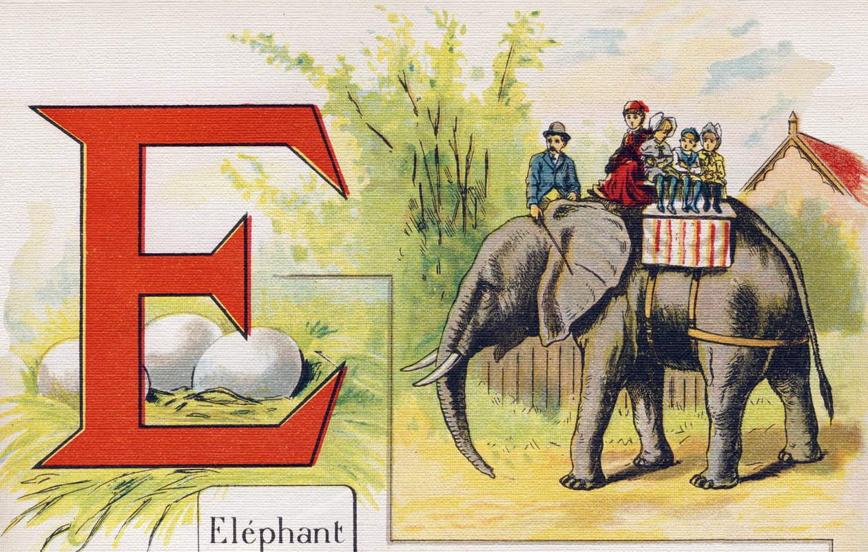 Letter E: Olifant. Gravure in "ABC L