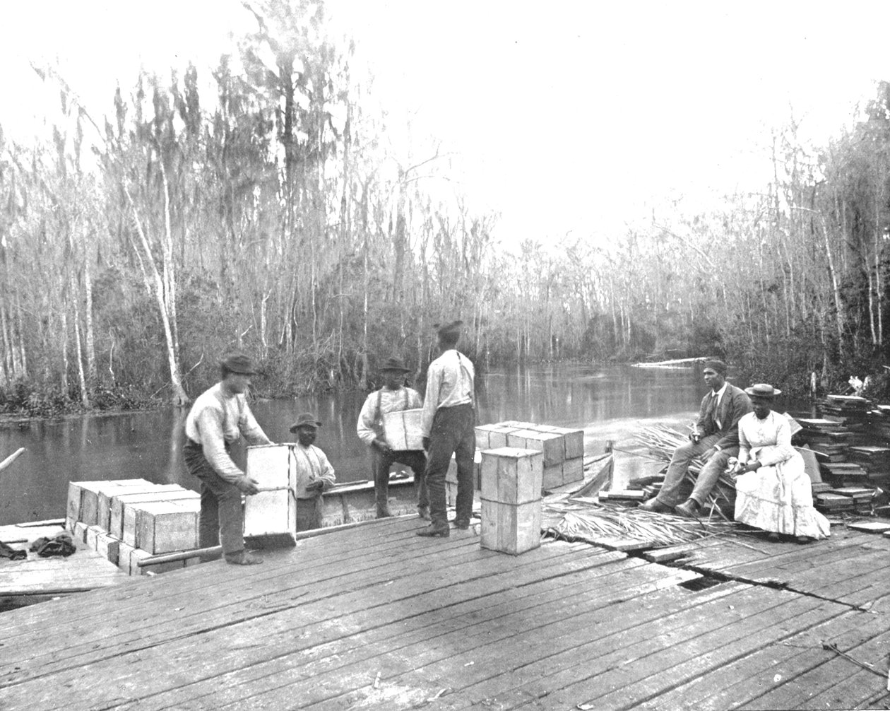 Laden van sinaasappels aan de Ocklawaha River, Florida, VS, ca. 1900 door Unbekannt