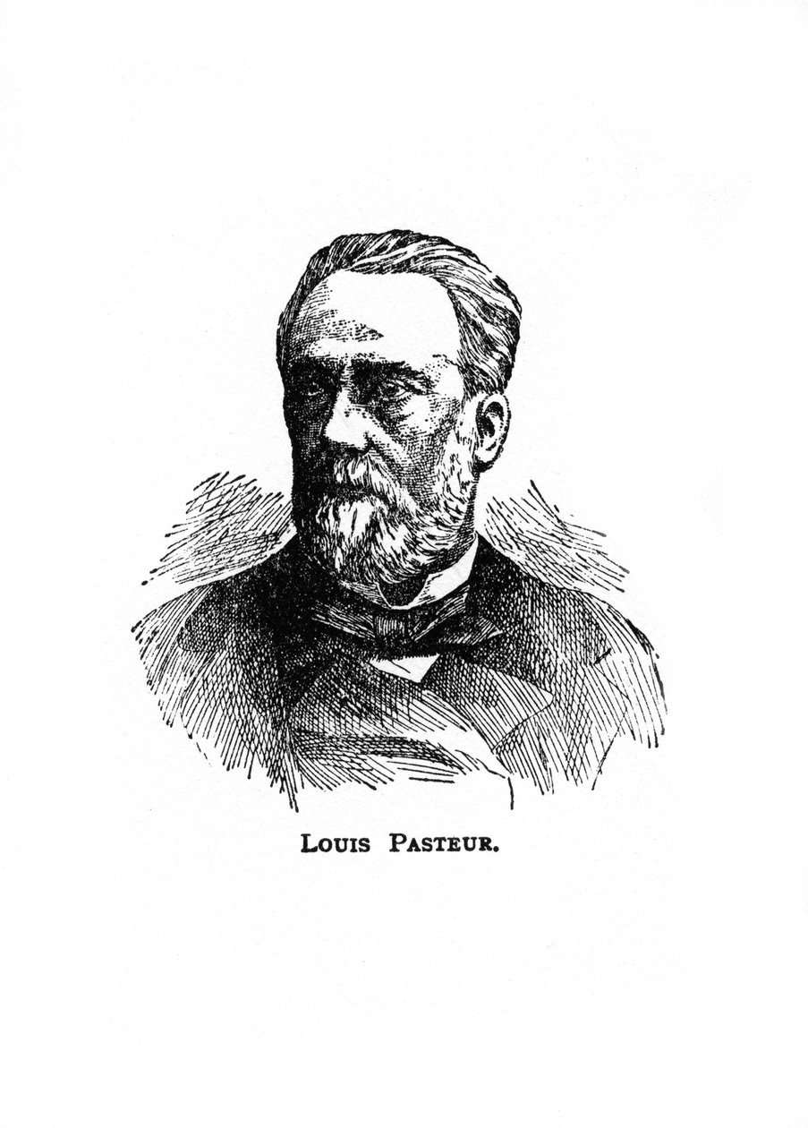 Louis Pasteur, 19e-eeuwse Franse microbioloog en chemicus, 20e eeuw door Unbekannt