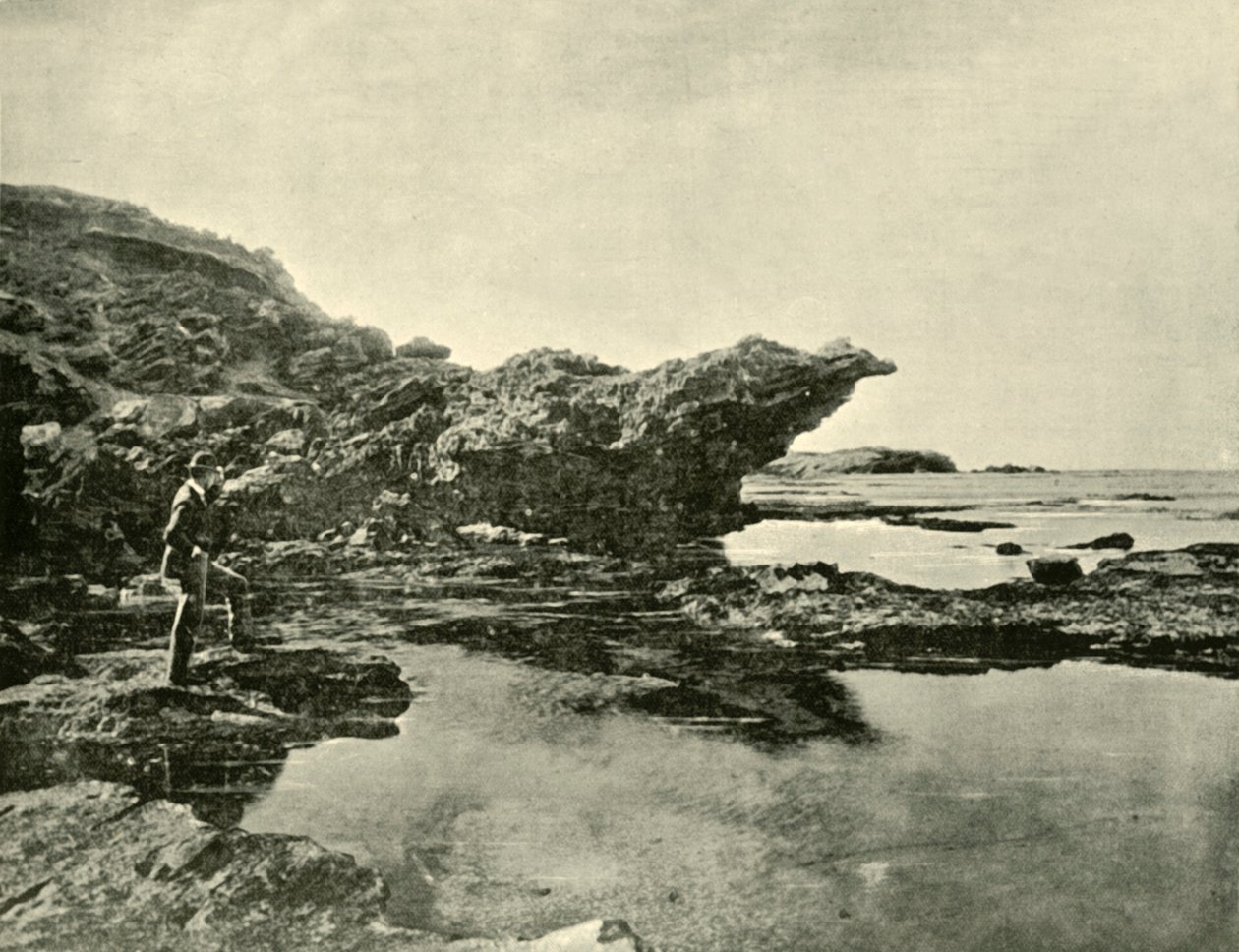 Laag tij, Shelly Beach, Warrnambool door Unbekannt