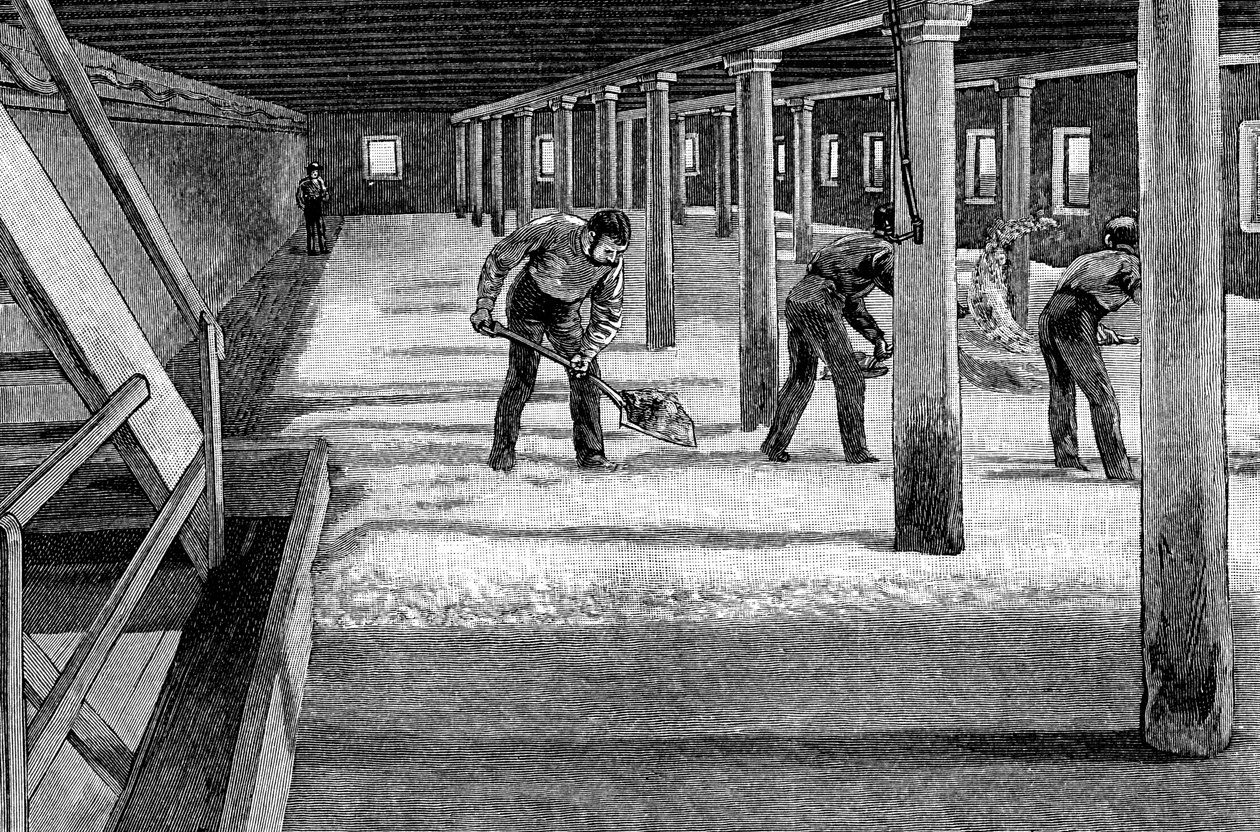 Moutvloer in een Amerikaanse brouwerij, 1885 door Unbekannt