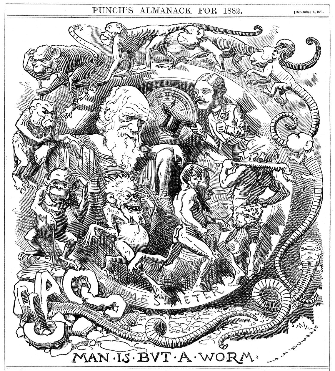 De Mens is Slechts een Worm, Cartoon uit Punch die Evolutie van Worm tot Mens Toont door Unbekannt