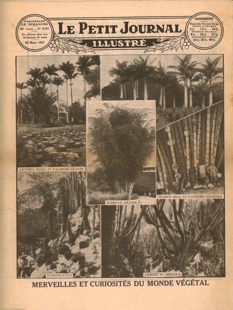 Wonderen en curiositeiten van de plantenwereld, 1931 door Unbekannt