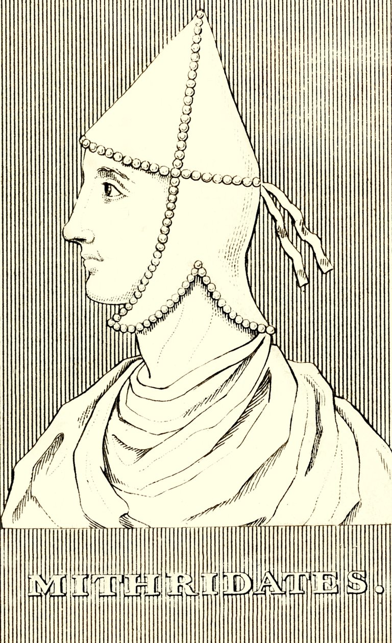 Mithridates door Unbekannt
