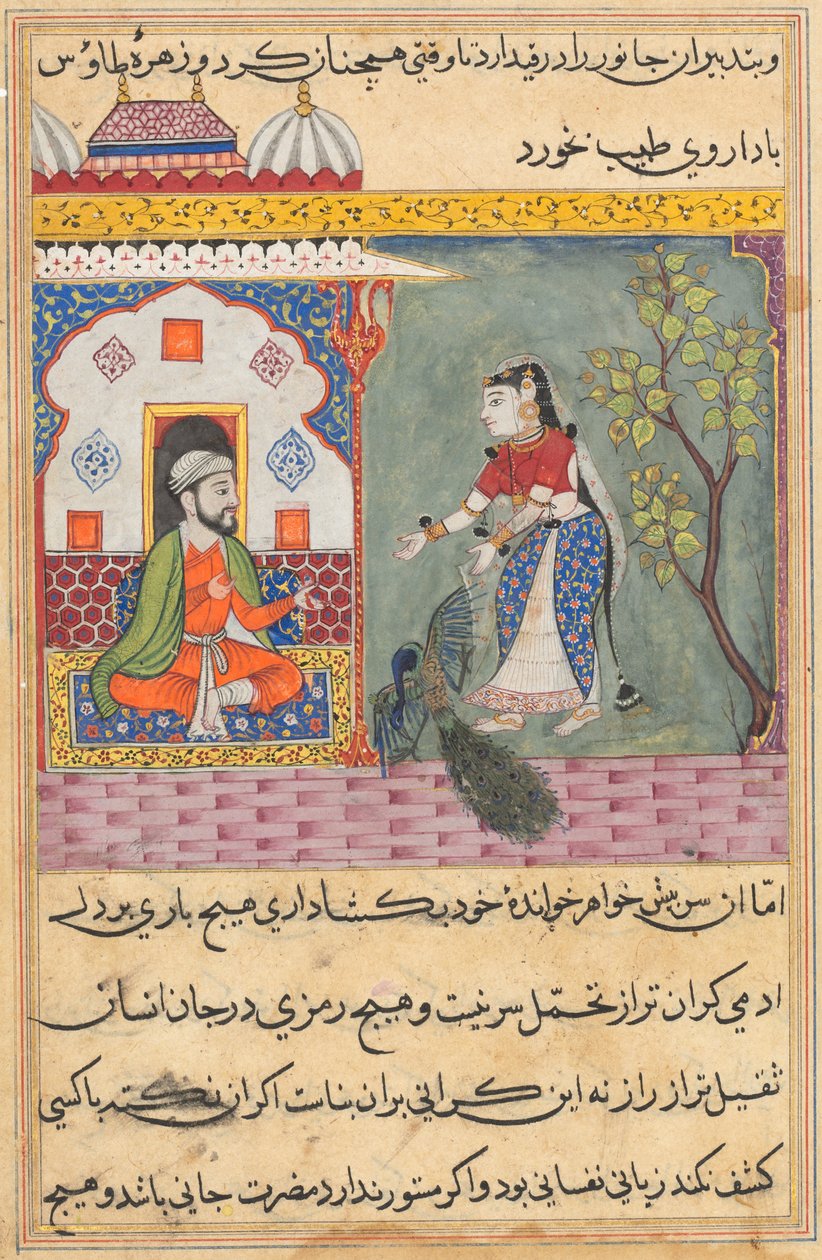 Pagina uit Verhalen van een papegaai Tuti-nama: Negentiende nacht: De vrouw van de Brahmaan, ca. 1560 door Unbekannt