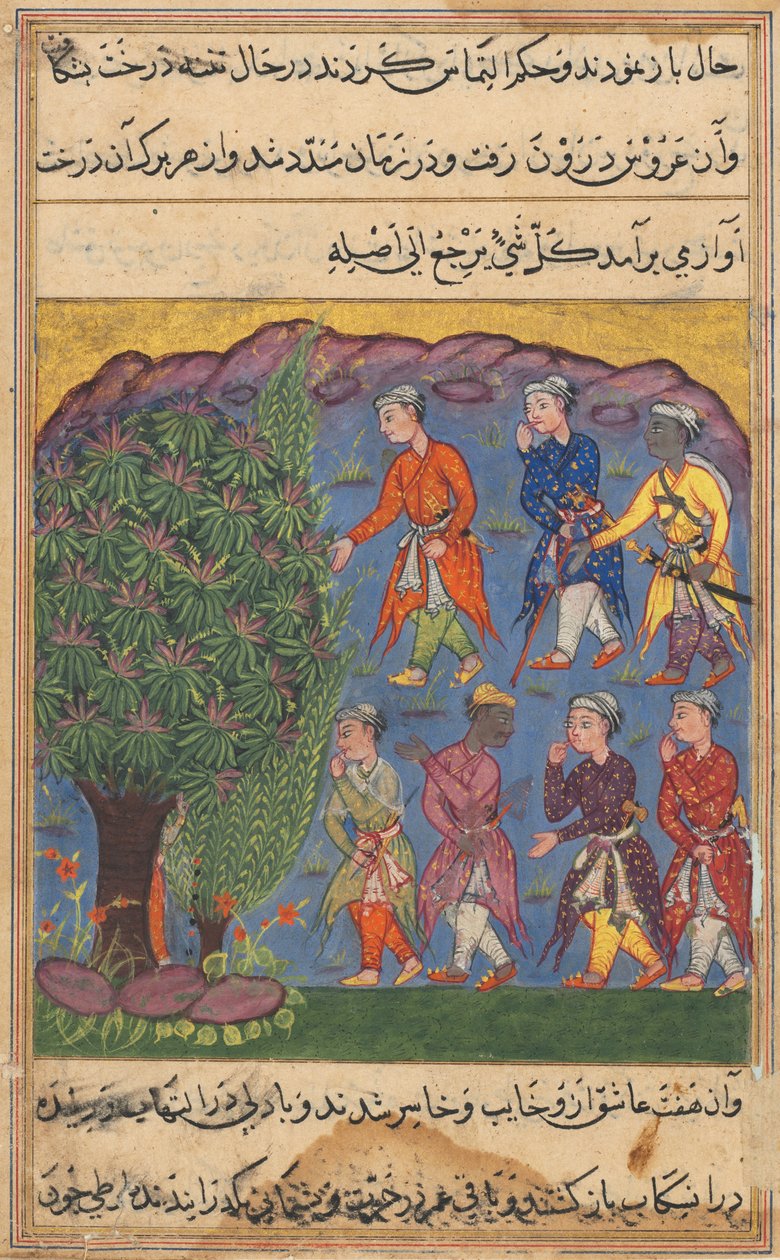 Pagina uit Verhalen van een Papegaai Tuti-nama: Zesde nacht: Zeven mannen die bezit betwisten..., ca. 1560 door Unbekannt