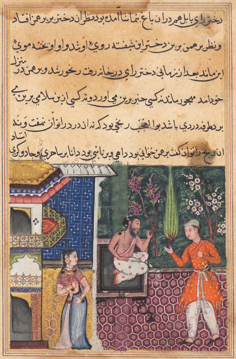 Pagina uit Verhalen van een Papegaai Tuti-nama: Vijfendertigste nacht: De Brahmaan geeft..., ca. 1560 door Unbekannt
