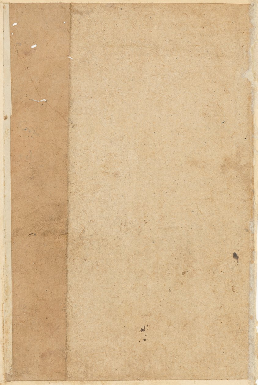 Pagina uit Verhalen van een Papegaai Tuti-nama: lege pagina, c. 1560 door Unbekannt