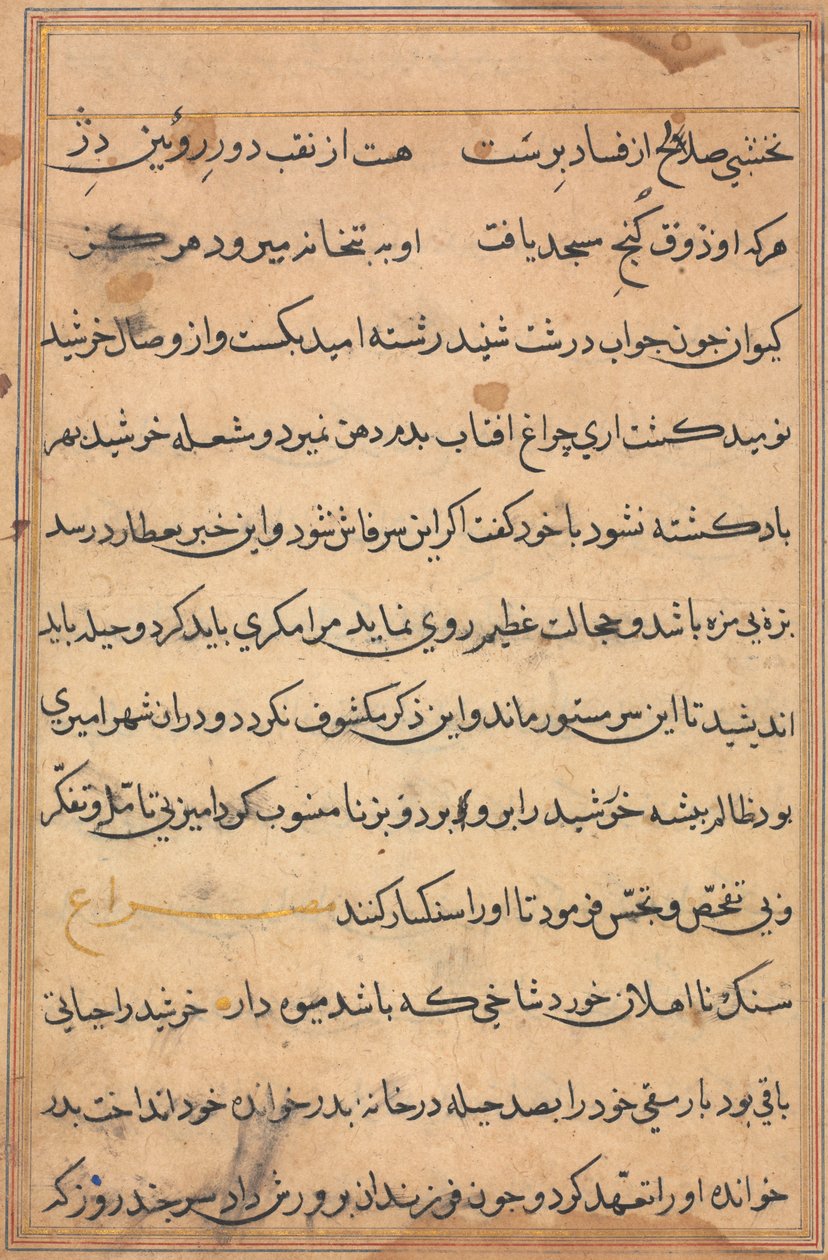 Pagina uit Verhalen van een papegaai Tuti-nama: tekstpagina, ca. 1560 door Unbekannt