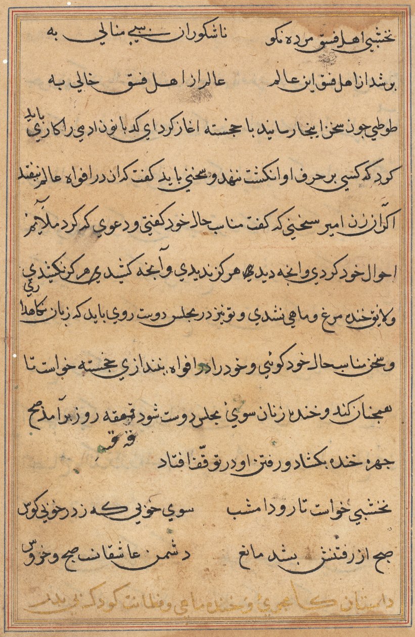 Pagina uit Verhalen van een papegaai Tuti-nama: tekstpagina, ca. 1560 door Unbekannt