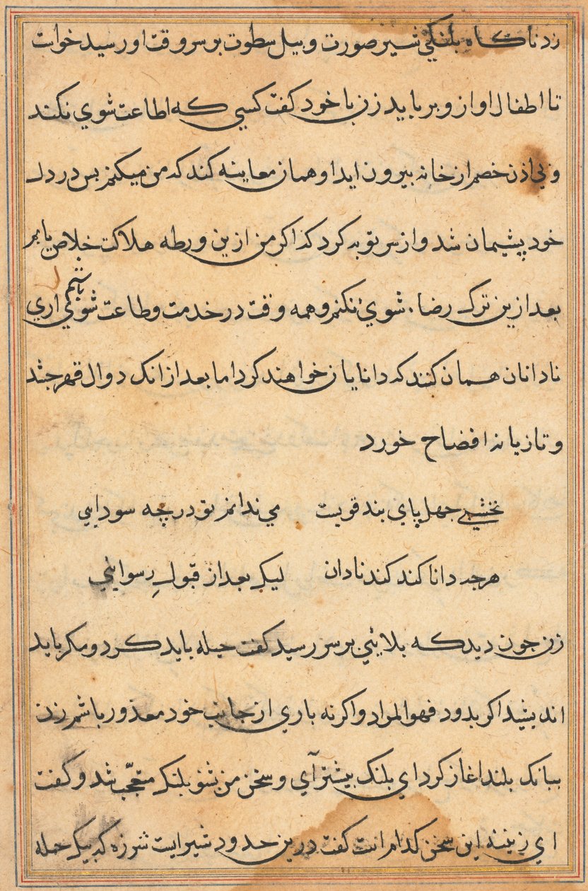 Pagina uit Verhalen van een Papegaai Tuti-nama: tekstpagina, ca. 1560 door Unbekannt