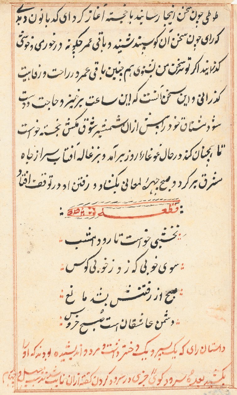 Pagina uit Verhalen van een papegaai Tuti-nama: tekstpagina, ca. 1560 door Unbekannt