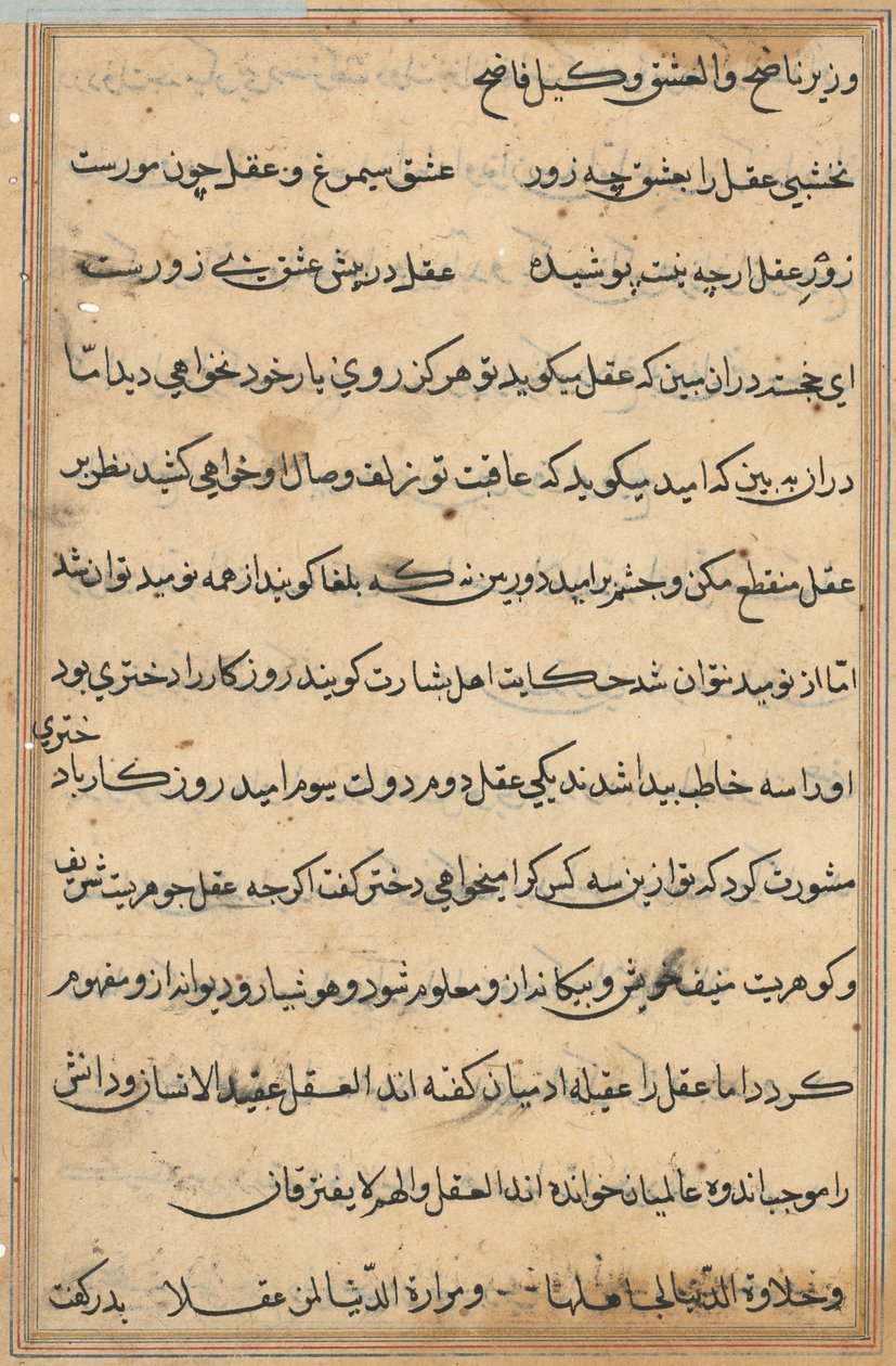Pagina uit Verhalen van een papegaai Tuti-nama: tekstpagina, ca. 1560 door Unbekannt