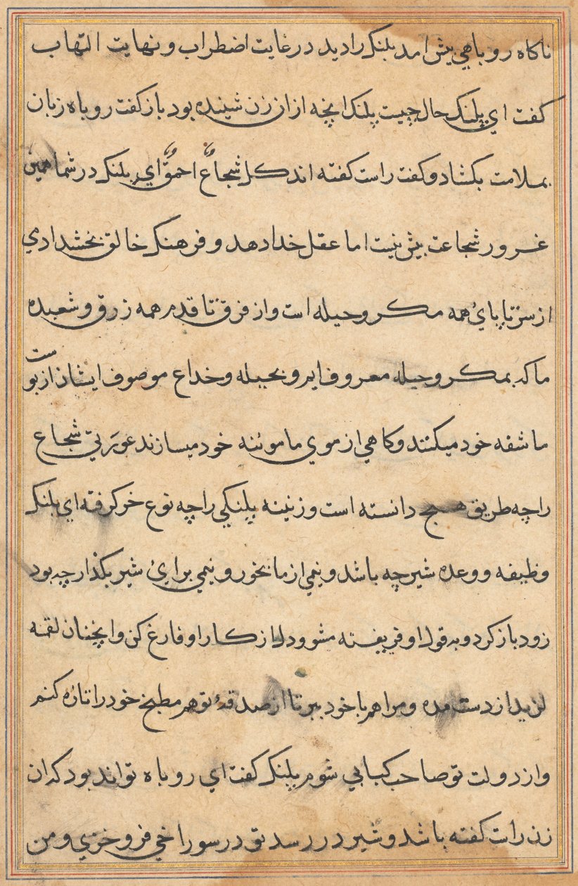 Pagina uit Verhalen van een papegaai Tuti-nama: tekstpagina, ca. 1560 door Unbekannt