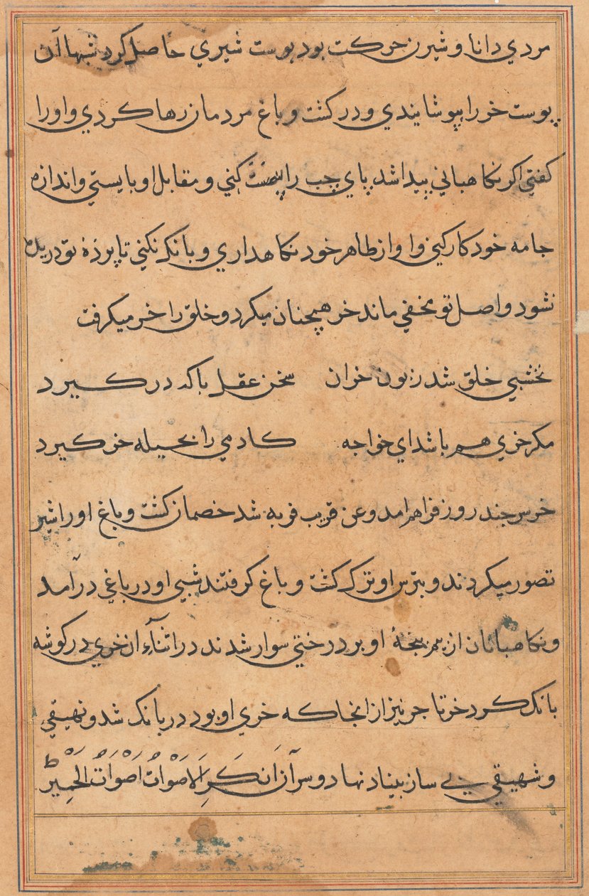 Pagina uit Verhalen van een Papegaai Tuti-nama: tekstpagina, ca. 1560 door Unbekannt
