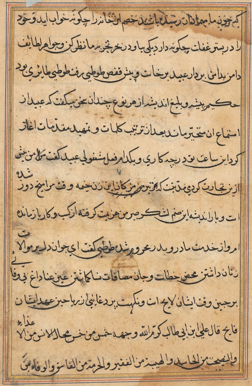 Pagina uit Verhalen van een Papegaai Tuti-nama: tekstpagina, c. 1560 door Unbekannt