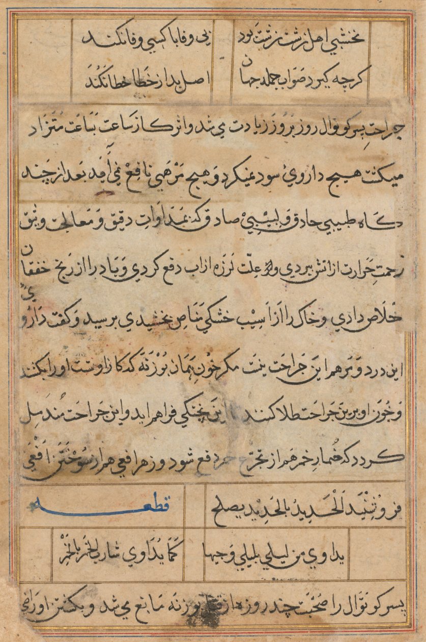 Pagina uit Verhalen van een papegaai Tuti-nama: tekstpagina, c. 1560 door Unbekannt