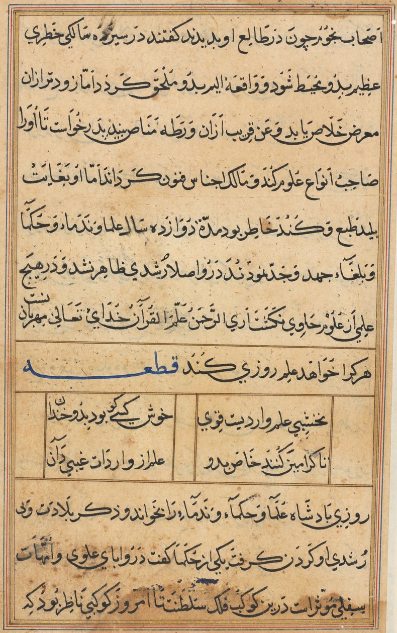 Pagina uit Verhalen van een Papegaai Tuti-nama: tekstpagina, c. 1560 door Unbekannt