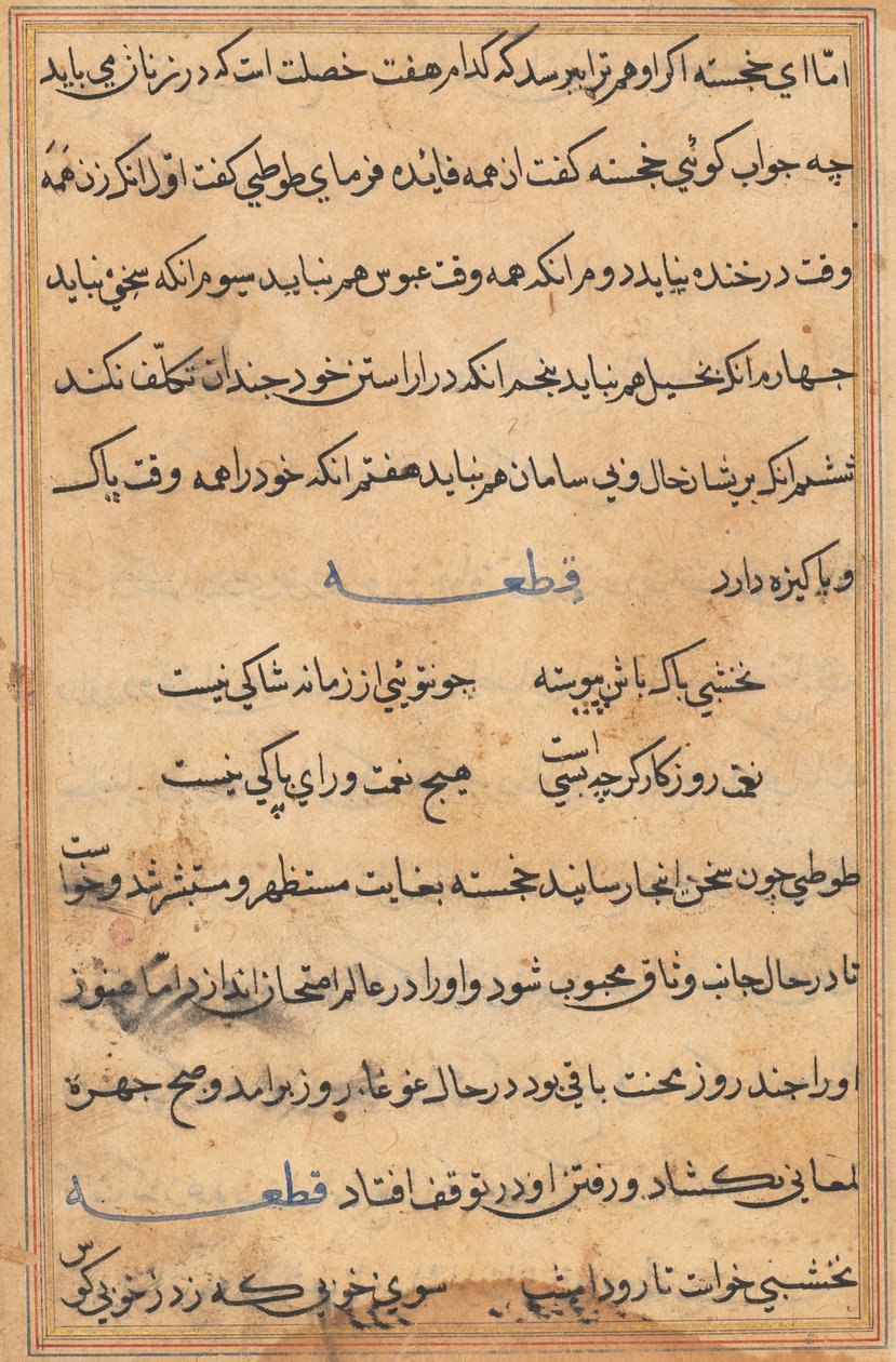 Pagina uit Verhalen van een Papegaai Tuti-nama: tekstpagina, c. 1560 door Unbekannt