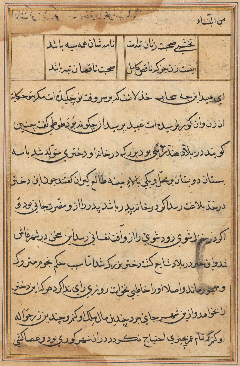 Pagina uit Verhalen van een papegaai Tuti-nama: tekstpagina, ca. 1560 door Unbekannt