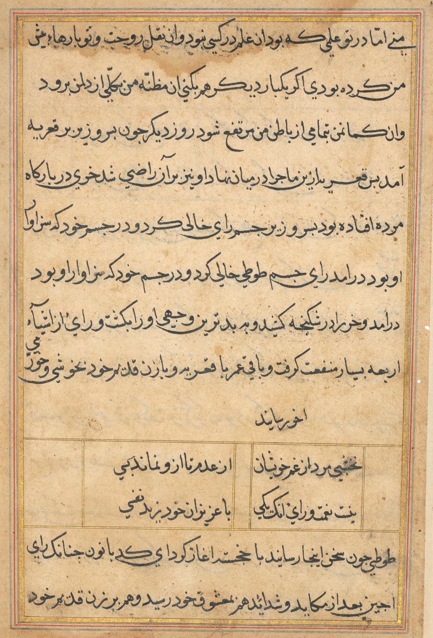 Pagina uit Verhalen van een papegaai Tuti-nama: tekstpagina, c. 1560 door Unbekannt
