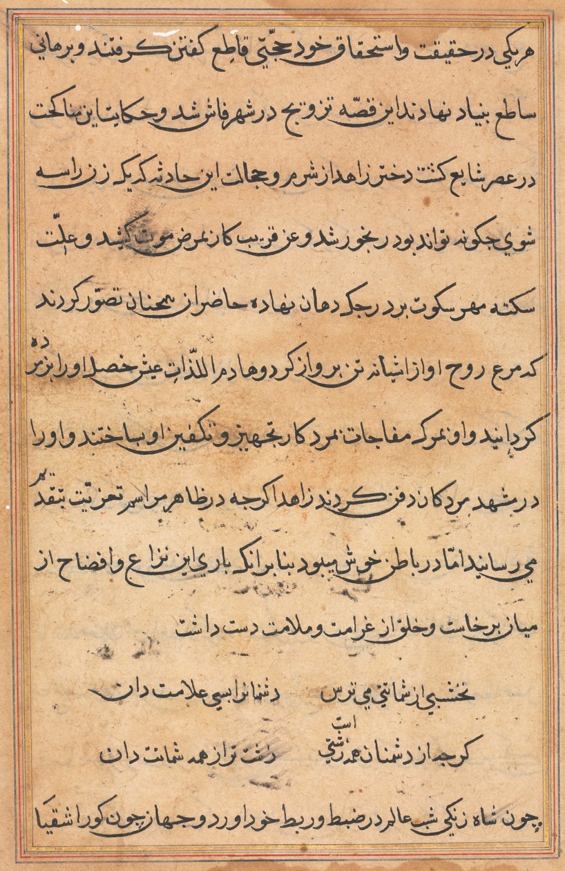 Pagina uit Verhalen van een Papegaai Tuti-nama: tekstpagina, c. 1560 door Unbekannt