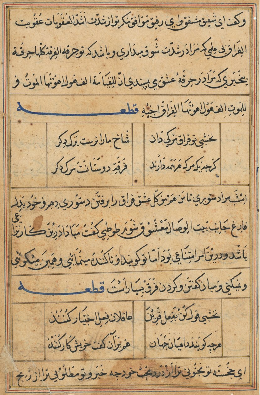 Pagina uit Verhalen van een papegaai Tuti-nama: tekstpagina, ca. 1560 door Unbekannt