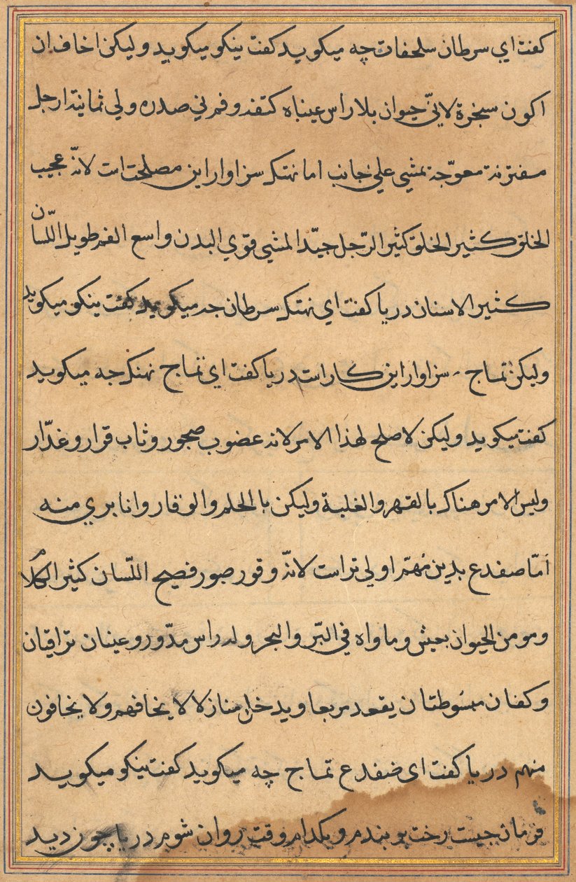 Pagina uit Verhalen van een Papegaai Tuti-nama: tekstpagina, ca. 1560 door Unbekannt