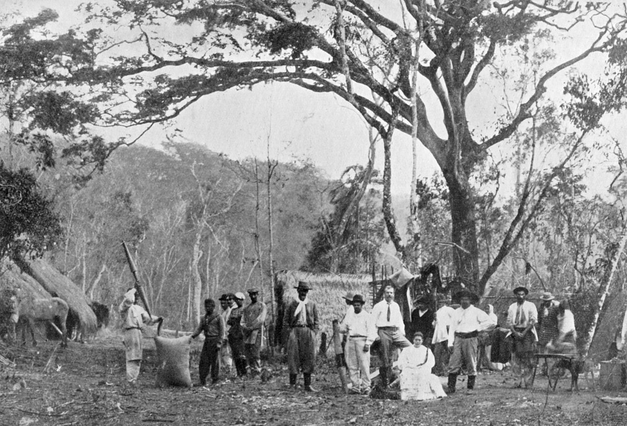 Paraguayaanse theeverzameling, Paraguay, 1911 door Unbekannt