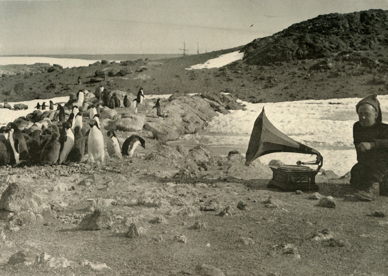 Pinguïns luisteren naar de grammofoon tijdens de zomer, 1908, 1909 door Unbekannt