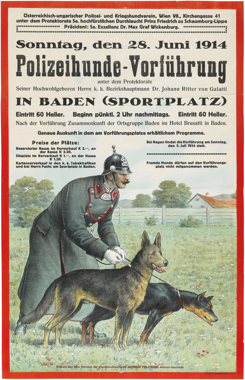 Demonstratie van politiehonden in Baden, 1914 door Unbekannt