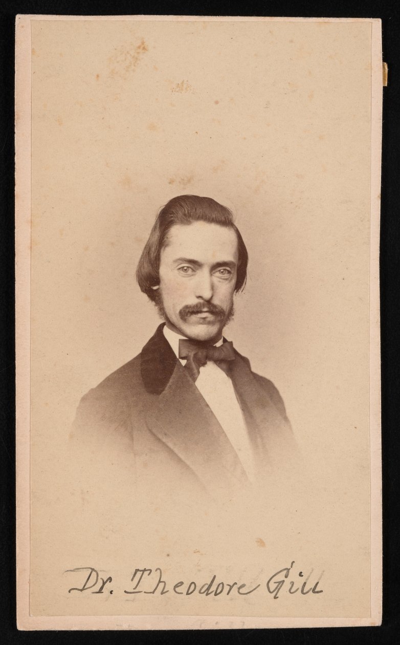 Portret van Theodore Nicholas Gill door Unbekannt