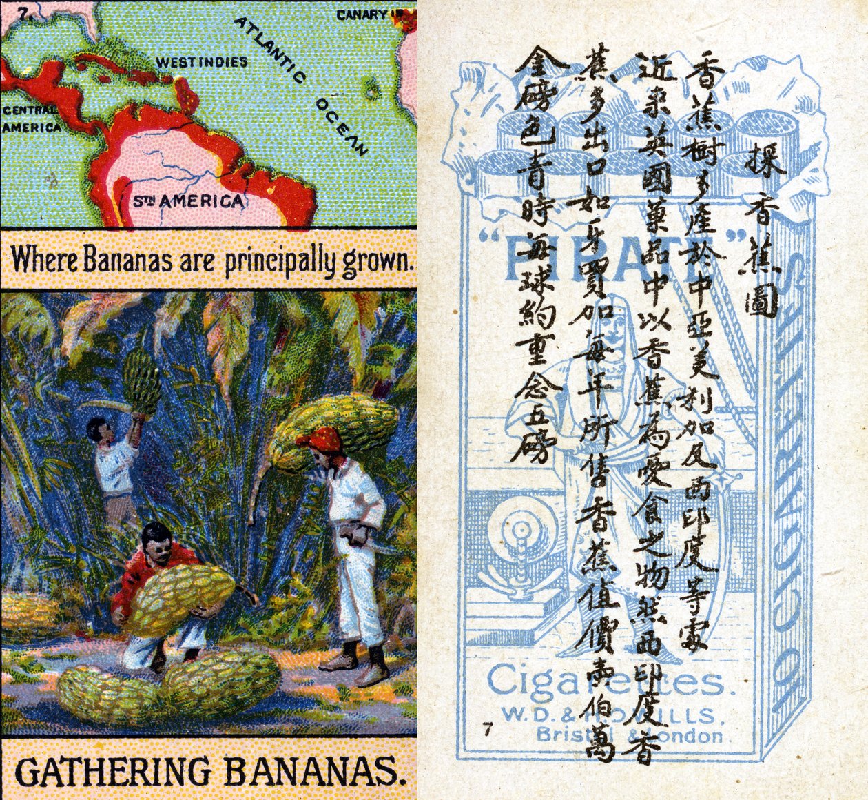 Belangrijkste gebieden voor bananenteelt, uit de serie 