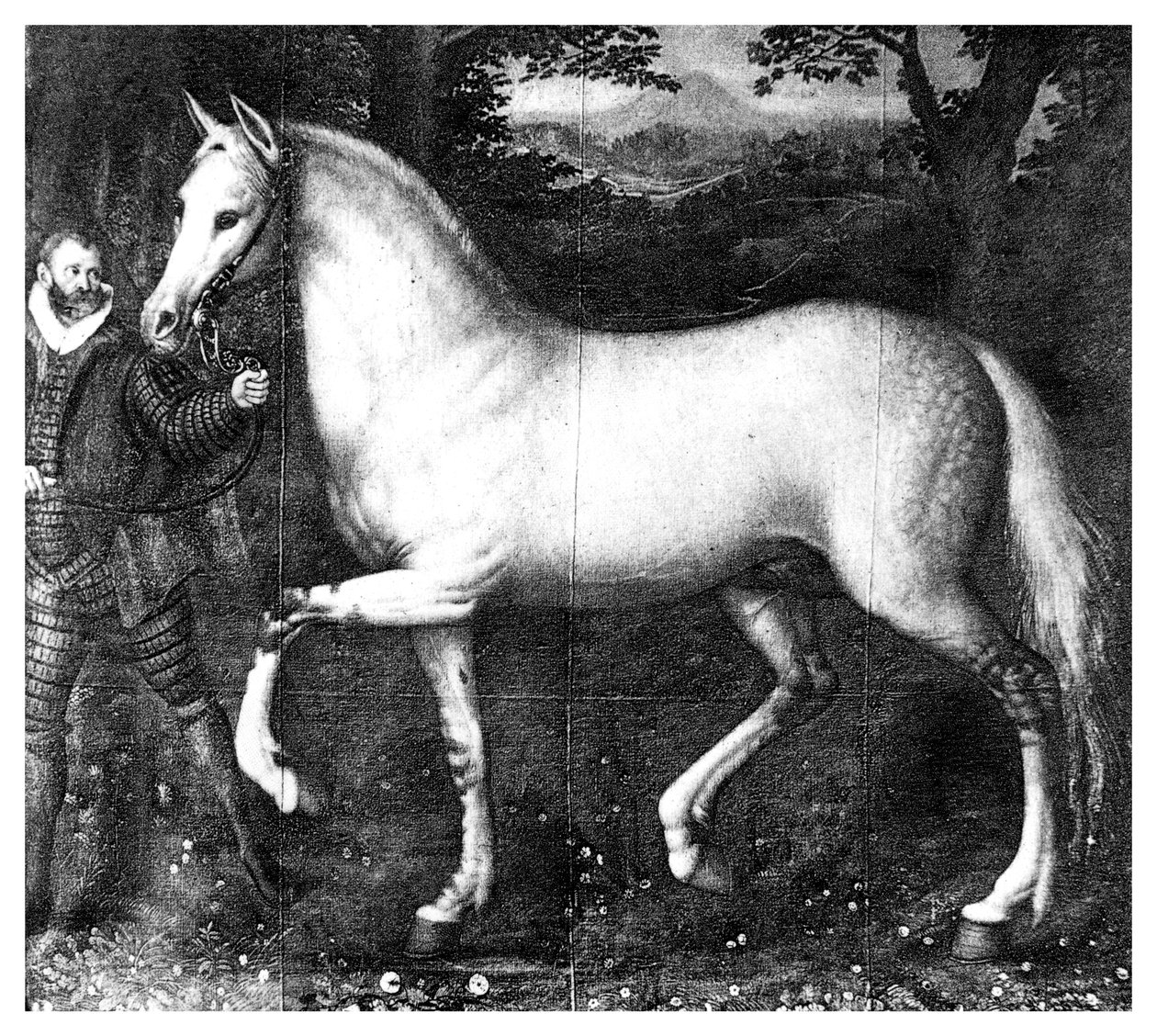 Paard van Koningin Elizabeth I, 1896 door Unbekannt