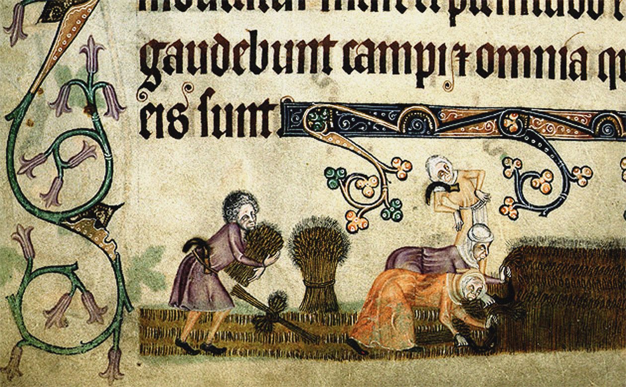 Maaien en schoven binden uit de Luttrell Psalter, ca 1330 door Unbekannt