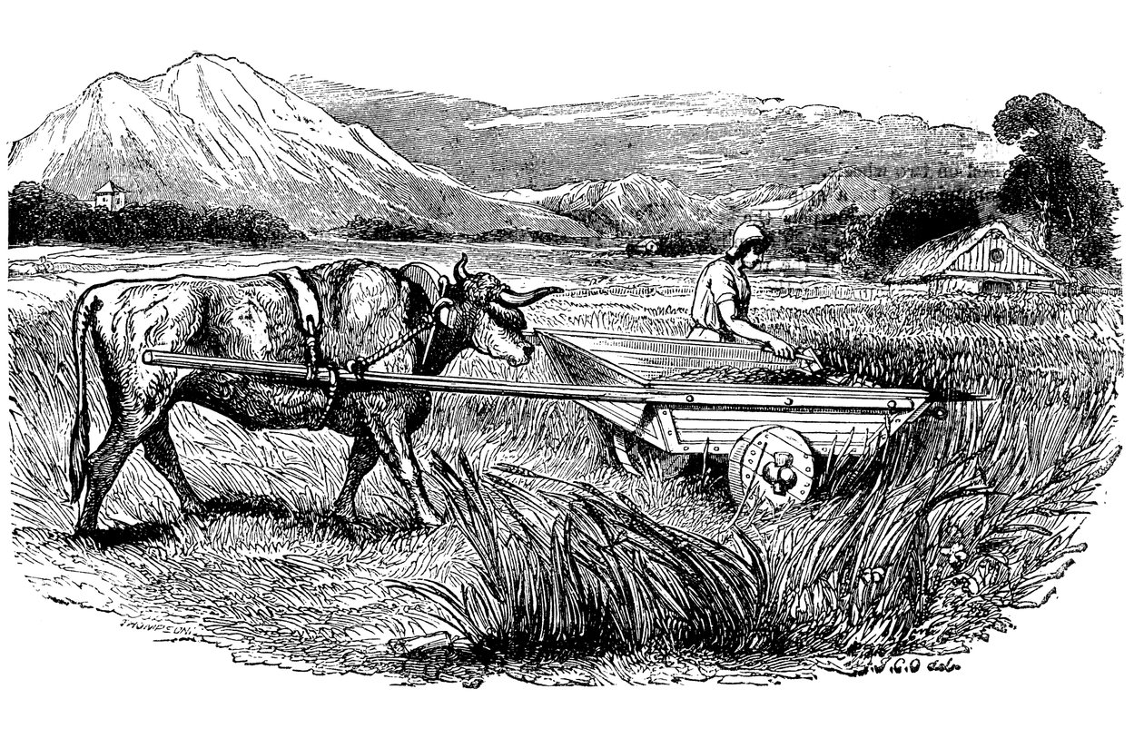 Reconstructie van Romeinse maaiwagen, zoals beschreven door Plinius, Gravure, 1860 door Unbekannt
