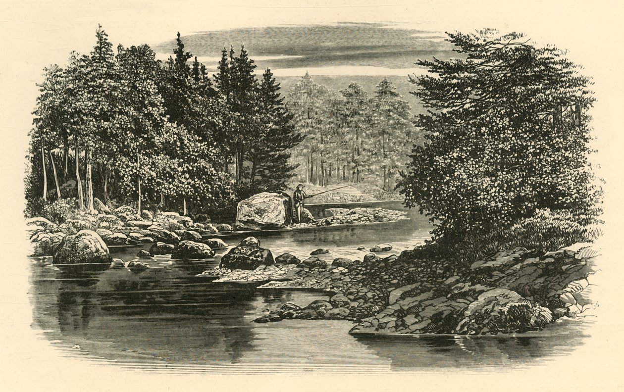 Rivierscène, Langdale, c1890 door Unbekannt