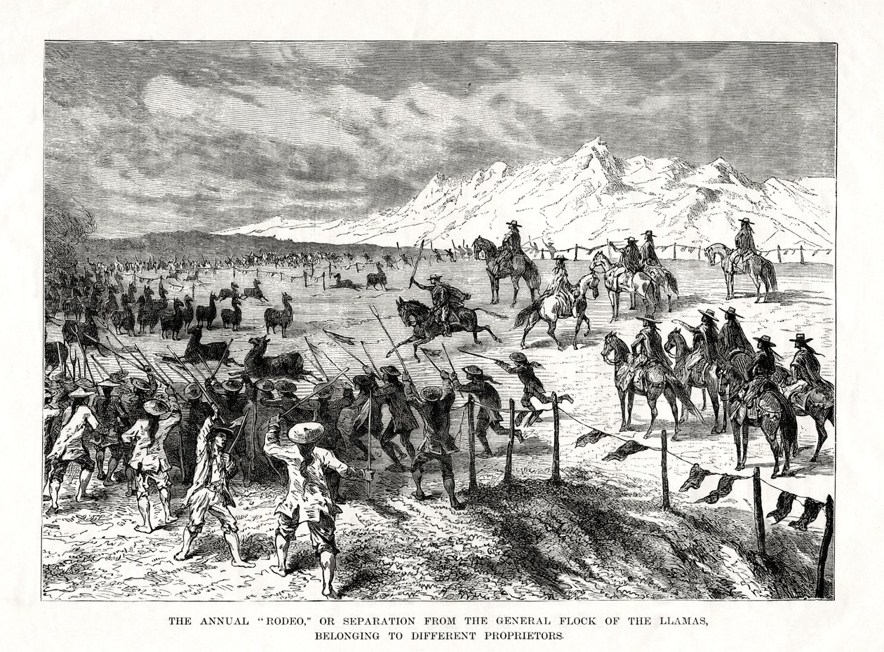 Rodeo, Zuid-Amerika, 1877 door Unbekannt