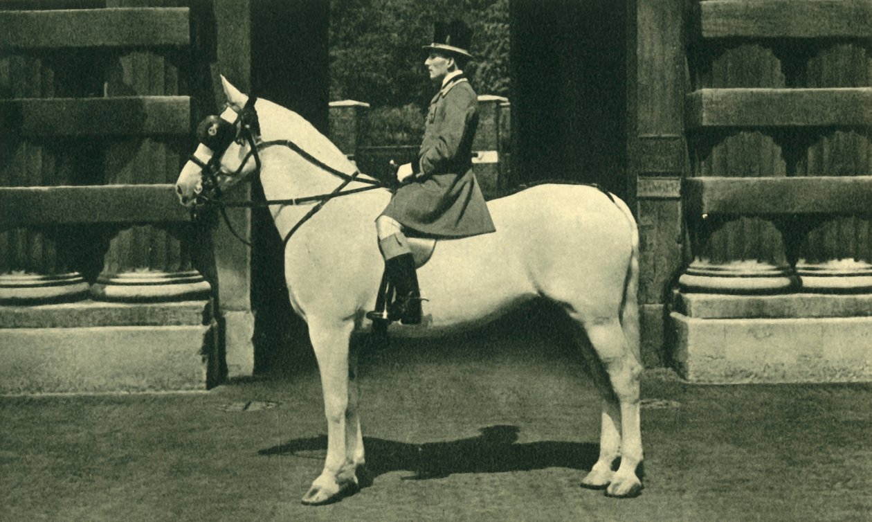 Koninklijke begeleider in scharlaken livrei, 1950s door Unbekannt