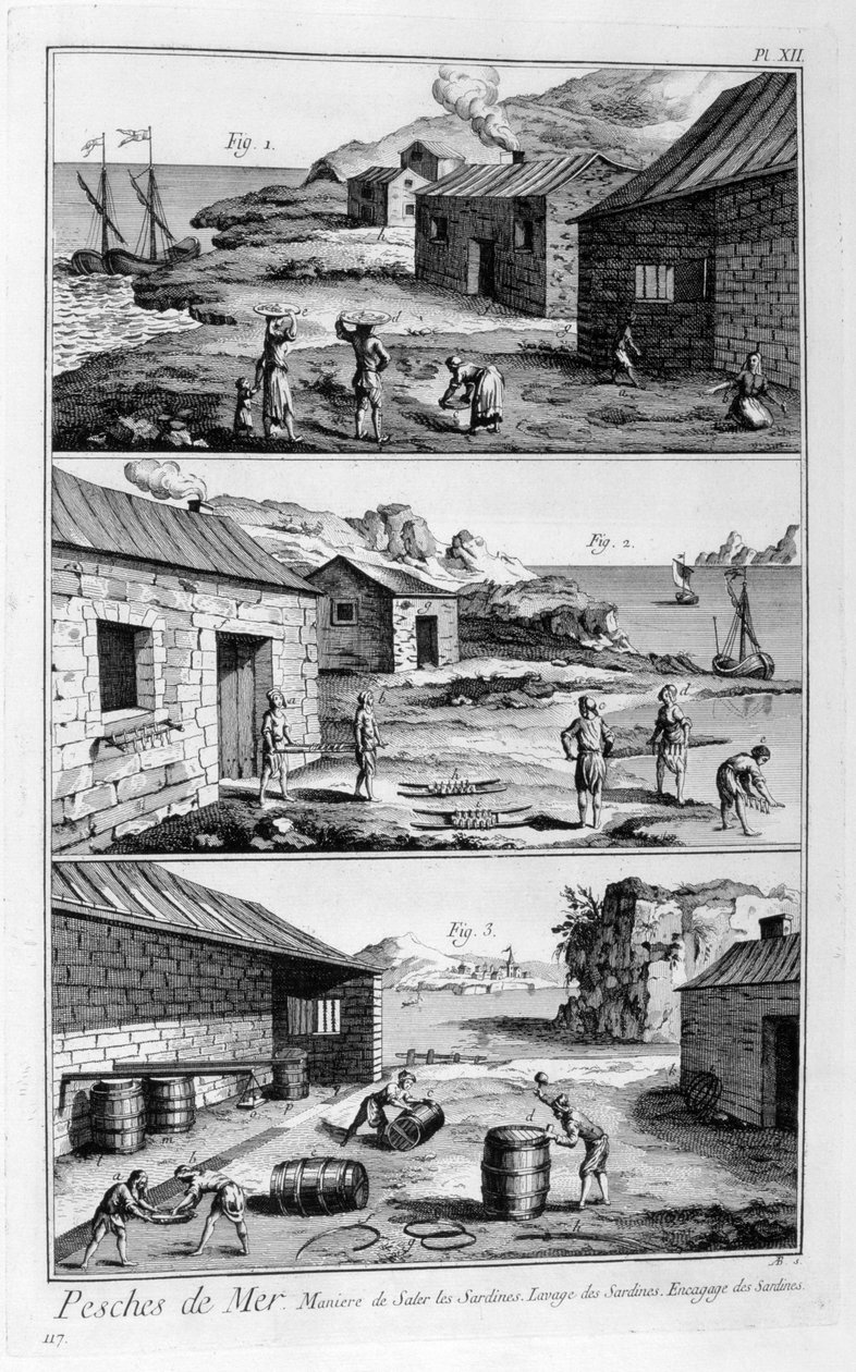 Zouten, wassen, inpakken van sardines, 1751-1777 door Unbekannt